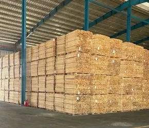 CHO THUÊ NHÀ XƯỞNG 9.200m2 Giá 4.2 USD M2. VỊ TRÍ TRONG KCN NAM TÂN UYÊN BD CŨ HCM 